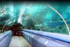 Отель Blue Planet Aquarium в городе Эллесмер-Порт, Великобритания