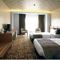 Отель Sor Hotel Eskisehir в городе Ескисехир, Турция