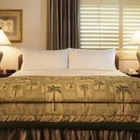 Отель Saddlebrook Resort Tampa в городе Уэсли Чапел, США