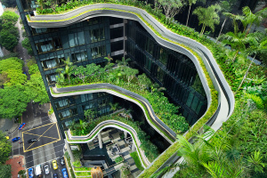 Необычный отель Parkroyal с тропическим лесом в Сингапуре
