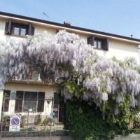 Отель Homestay in Nichelino near Moncalieri Sangone Railway Station в городе Никелино, Италия