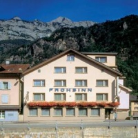 Отель Hotel Frohsinn Erstfeld в городе Эрстфельд, Швейцария
