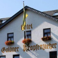Отель Hotel Goldener Pfropfenzieher в городе Обервезель, Германия
