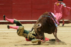 Коррида: бой быков в Испании