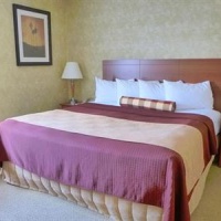 Отель BEST WESTERN PLUS Rose City Suites в городе Уэлленд, Канада