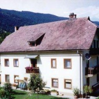 Отель Bauernhof Fruhstuckspension Schutzenhofer в городе Боденсдорф, Австрия