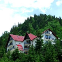Отель Hotel Piscul Negru в городе Piscu Negru, Румыния