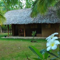 Отель Thuduwa Camp в городе Удавалава, Шри-Ланка