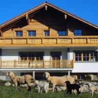 Отель Alpenchalet-Gosau в городе Гозау, Австрия
