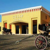 Отель Tulip Resort в городе Марса-Алам, Египет