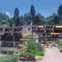 Отель TOP Hotel Ritter в городе Баденвайлер, Германия