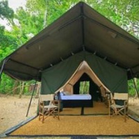Отель Leopard Trails Wilpattu Tents в городе Pahala Maragahawewa, Шри-Ланка