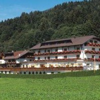 Отель Holiday Hotel Sunshine Ferienhotel Sunshine в городе Берг, Австрия