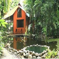 Отель Rainforest Hideaway в городе Кейп Трибулейшен, Австралия