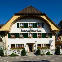 Отель Gasthof zum Wilden Mann в городе Аарванген, Швейцария