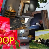Отель JOOPs beds bites &more в городе Бенсхоп, Нидерланды
