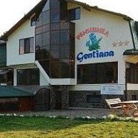 Отель Pension Gentiana Sacele в городе Сэчеле, Румыния