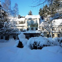 Отель Waldgasthof & Hotel Am Sauwald в городе Танненберг, Германия