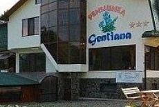 Отель Pension Gentiana Sacele в городе Сэчеле, Румыния