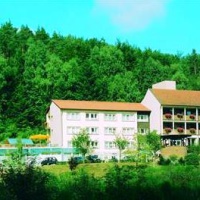 Отель Wellness-Hotel Haus Sonnenwald в городе Мерциг, Германия
