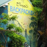 Отель Dingos Backpacker Adventure Resort в городе Рейнбоу Бич, Австралия