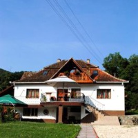 Отель Pensiunea Casa Butnarului в городе Geoagiu de Sus, Румыния