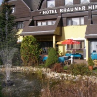 Отель Brauner Hirsch Gleisdorf в городе Глайсдорф, Австрия