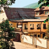 Отель Gasthof-Pension Leopold Janu в городе Зенфтенберг, Австрия