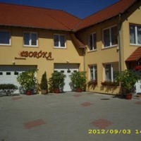 Отель Pensiunea Boroka в городе Одорхею-Секуйеск, Румыния