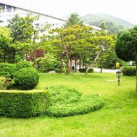 Отель Sorak Park Hotel в городе Сокчхо, Южная Корея