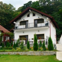 Отель Pension Casa Natura в городе Бэиле-Херкулане, Румыния