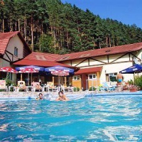 Отель Pensiunea Alpin в городе Rau Sadului, Румыния