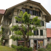 Отель Hadassa Apartments Navah в городе Итендорф, Швейцария