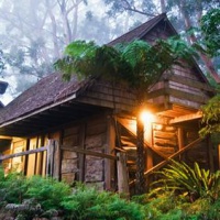Отель Binna Burra Mountain Lodge Beechmont в городе Голд-Кост, Австралия