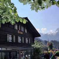 Отель Hotel Tenne в городе Ленк, Швейцария