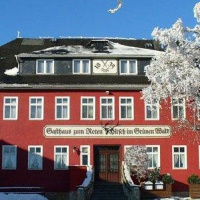 Отель Zum Roten Hirsch im Grunen Wald в городе Заальфельдер-Хёэ, Германия