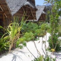 Отель Summer Dream Lodge в городе Пайе, Танзания