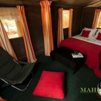 Отель Mahoora Tented Safari Camp - Wasgamuwa в городе Wilgamuwa, Шри-Ланка