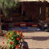 Отель Desert Fox Camp в городе Сент-Катерин, Египет