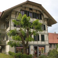 Отель Hadassa Apartments Hadassa в городе Итендорф, Швейцария