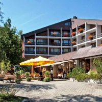 Отель Hotel Sardona в городе Эльм, Швейцария