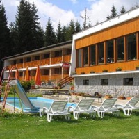 Отель Lesni Penzion Kobylnice в городе Липно над Влтавой, Чехия