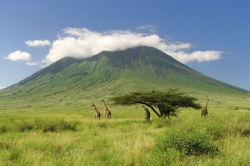 Гора-вулкан Килиманджаро