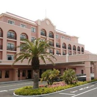 Отель Palm & Fountain Terrace Hotel в городе Токио, Япония