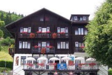 Отель Hotel de Torgon в городе Вьона, Швейцария