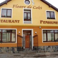 Отель Pension Floare de Colti в городе Бая-Маре, Румыния