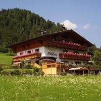 Отель Wildschutz Apart Pension в городе Ункен, Австрия