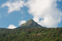 Пик Адама – священная гора бабочек Шри-Ланки
