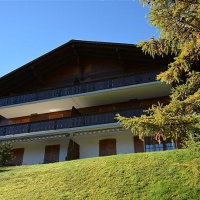 Отель Hornflue в городе Занен, Швейцария