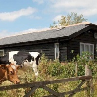 Отель Bull Farm Studios в городе Micheldever, Великобритания